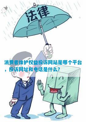 kaiyun体育官方网站全站入口网站优化什么是网站维护消费者维护权益投诉网站是哪