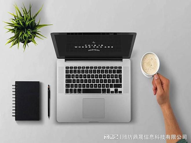 Kaiyun官方网站登录入口网站建设与推广网站优化seo优化公司寿光专业的网站搜